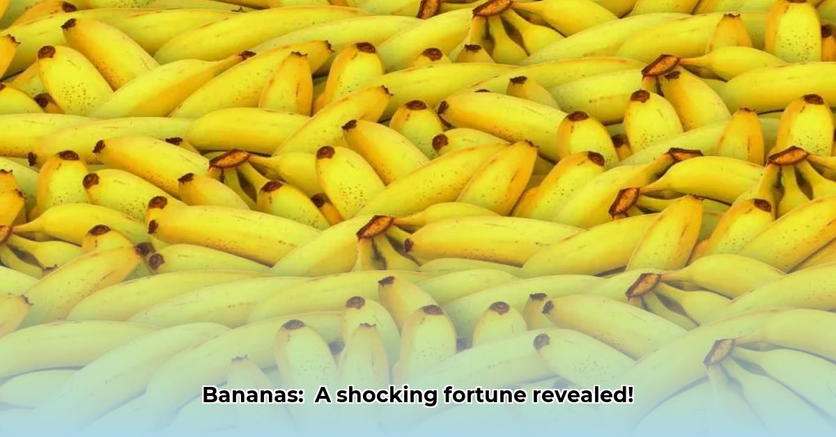 bananas-net-worth